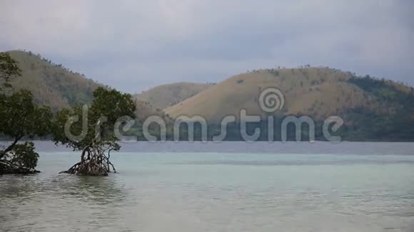 风景山和大海视频的预览图