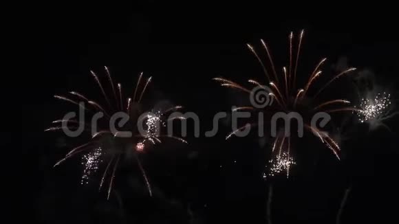 在黑色背景下举行的绚丽多彩的焰火庆祝活动新年假期概念股视频视频的预览图