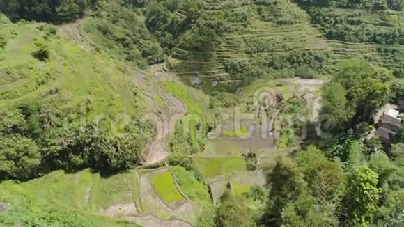 山上的水稻梯田菲律宾巴塔德巴诺视频的预览图