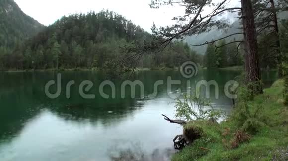 在奥地利纳斯雷思的弗尔帕斯看到翠绿色的山湖视频的预览图