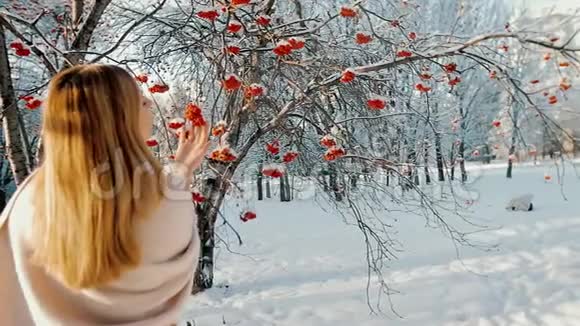 冬天公园里美丽迷人的女人视频的预览图