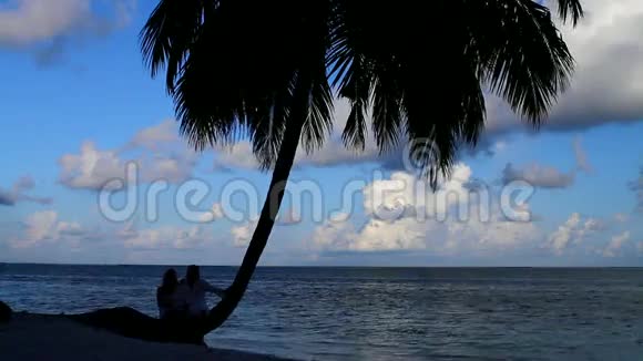 坐在棕榈树旁边的浪漫情侣视频的预览图