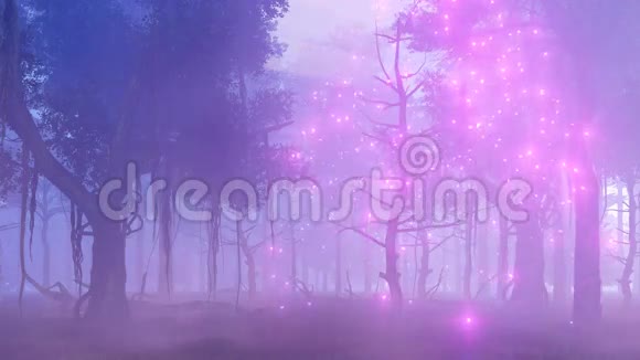 神奇的雾蒙蒙的森林中的萤火虫灯视频的预览图