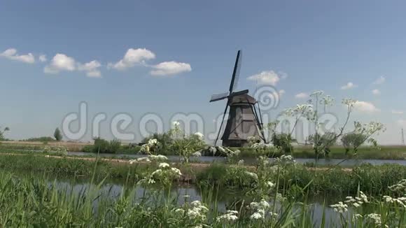 荷兰的风车视频的预览图