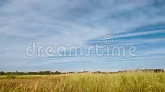 乡村景观视频的预览图