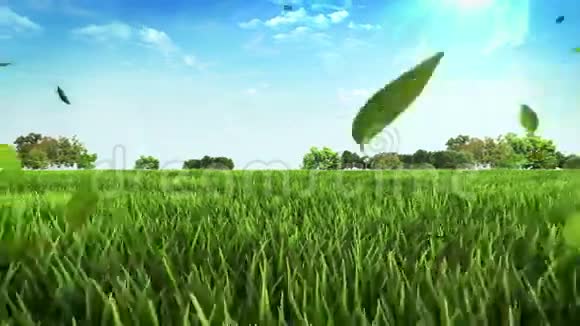 绿色田野上的叶子做成的绿色感叹号视频的预览图