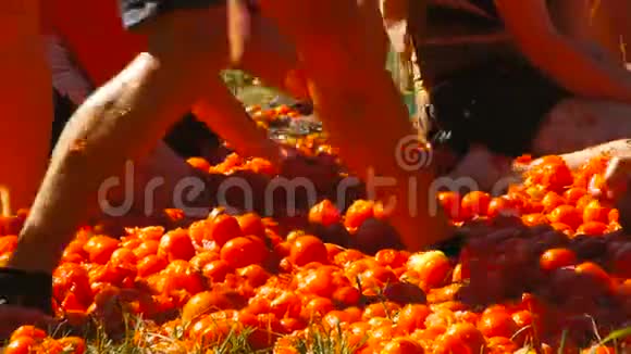 一场西红柿大战人们扔西红柿视频的预览图