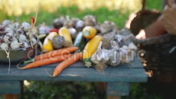 农夫在有机花园里捧着成熟的蔬菜视频的预览图