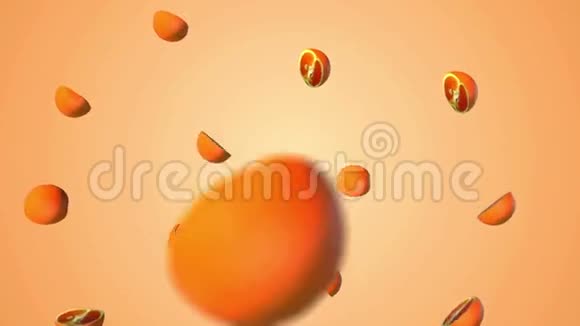 渐变背景下的橙色苍蝇视频的预览图