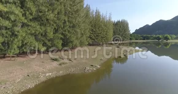 热带河流绿林鸟瞰图视频的预览图