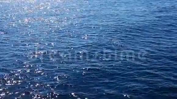蓝色海水背景视频的预览图