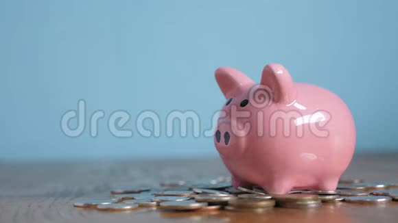 猪银行业务站在一堆生活方式硬币的概念上一只手把硬币放在黄色的储蓄罐里视频的预览图