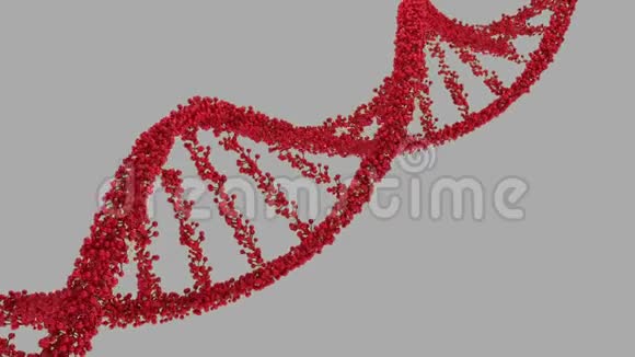 DNA双螺旋视频的预览图