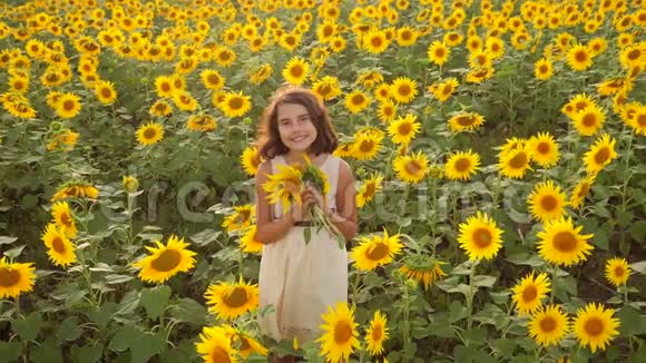 快乐的小女孩生活方式在向日葵的领域在夏天向日葵上美丽的小女孩慢速视频视频的预览图