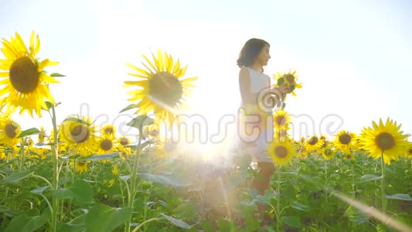 生活方式快乐的小女孩在夏天向日葵的阳光下美丽的日落小女孩向日葵视频的预览图