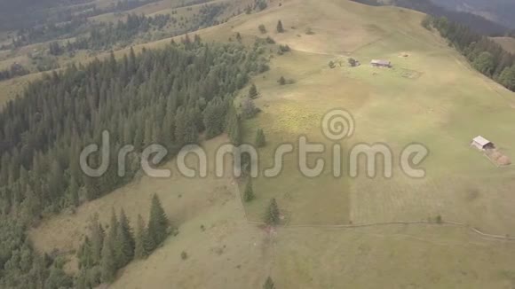 乌克兰Dzembronya村附近的夏季喀尔巴阡山脉的高空俯视图视频的预览图