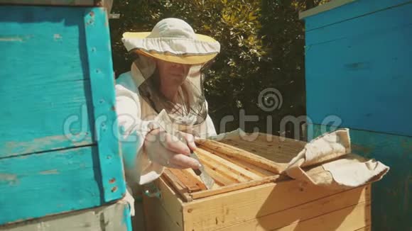 养蜂人在养蜂生活方式中工作蜜蜂飞蜂群多色蜂窝慢动作视频蜜蜂制造者视频的预览图