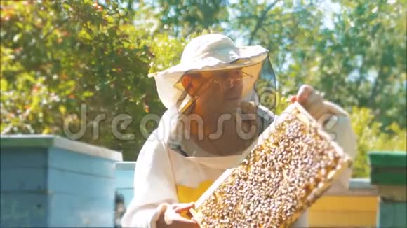 养蜂人手里拿着满是蜜蜂的蜂窝养蜂人在养蜂场检查蜂窝框架养蜂生活方式视频的预览图