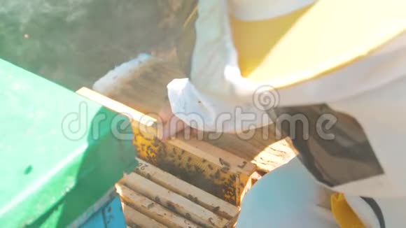 养蜂人抱着一种充满蜜蜂的蜂巢生活方式养蜂人在养蜂场检查蜂窝框架养蜂概念视频的预览图