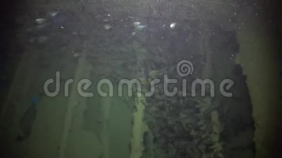 海底沉船红海视频的预览图