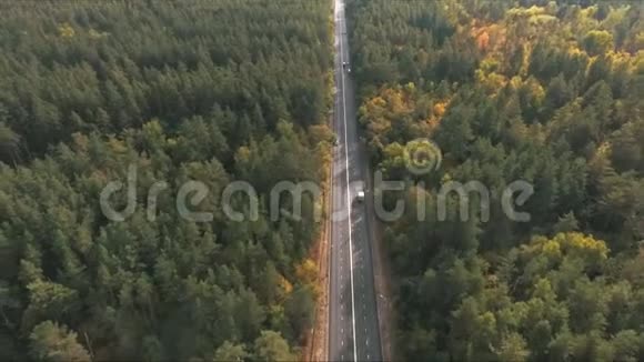 森林道路上的鸟瞰图视频的预览图