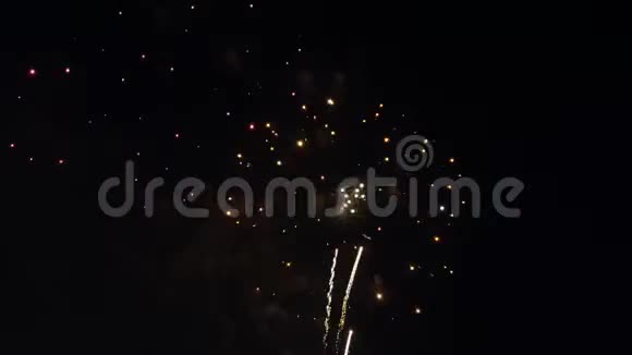 美丽多彩的烟花庆祝活动视频的预览图