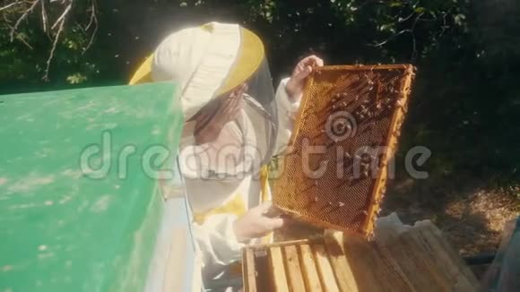 养蜂人在蜂群里工作的蜂群飞行多彩蜂窝慢动作视频养蜂人视频的预览图