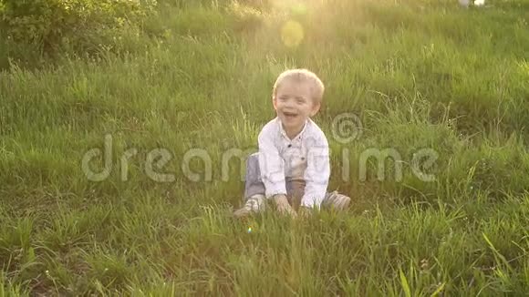 快乐的小男孩坐在公园的草地上视频的预览图