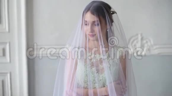 在室内戴着带花边面纱的新娘新娘视频的预览图