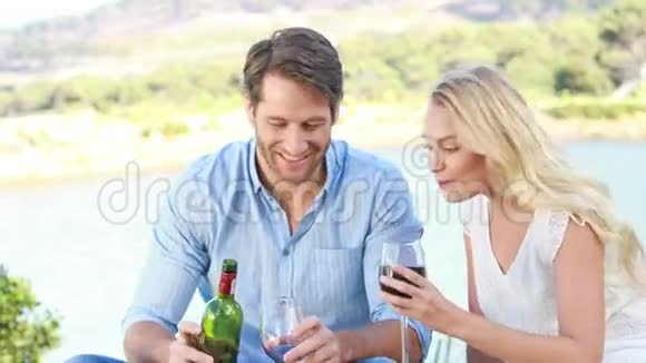 快乐的一对夫妇品尝红酒视频的预览图