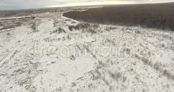北方冬季景观视频的预览图