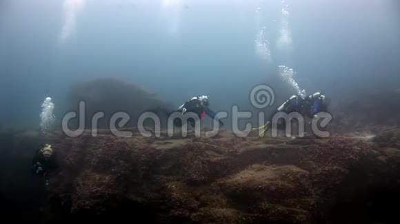 加拉帕戈斯水下潜水员视频的预览图