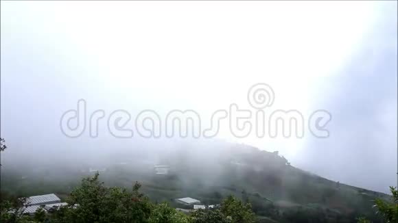 山和雾视频的预览图