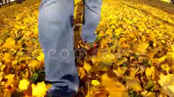 人走在秋叶上视频的预览图