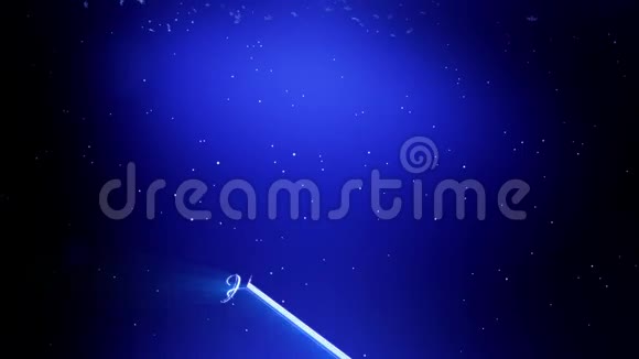 装饰的3d雪花在蓝色背景上的夜晚漂浮在空中用作圣诞动画新年贺卡或视频的预览图