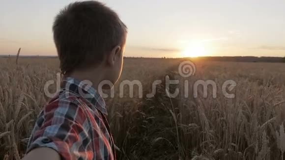 日落时分男孩穿过麦田视频的预览图