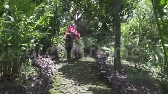 印度尼西亚巴厘晴天热带花园视频的预览图