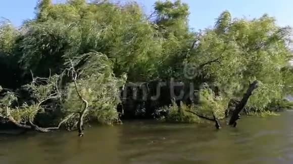 葡萄牙特霍河景观视频的预览图