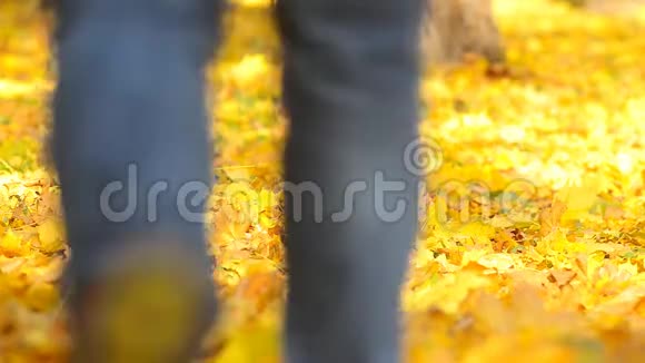 人走在落叶上视频的预览图
