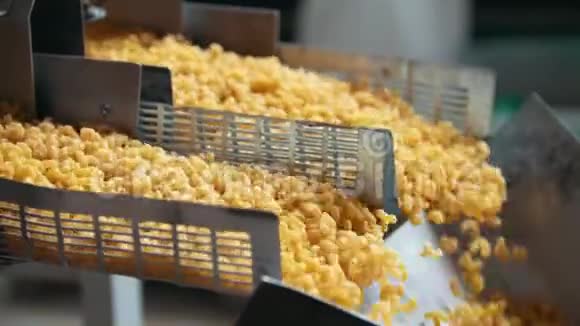 在通心粉工厂的生产线上制造面食视频的预览图