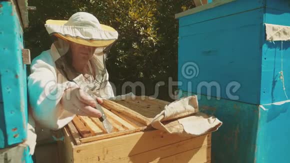 养蜂人在生活方式中工作蜂群飞行多色蜂窝慢动作视频蜜蜂制造者视频的预览图