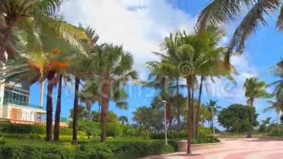 迈阿密南海滩现场视频的预览图