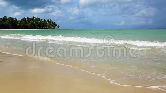 白色热带海滩上的棕榈树视频的预览图