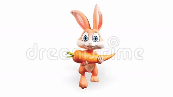 复活节兔子用胡萝卜和阿尔法频道视频的预览图