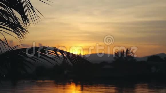 日落时令人惊叹的热带海滩棕榈树在缓慢的运动1920x1080视频的预览图