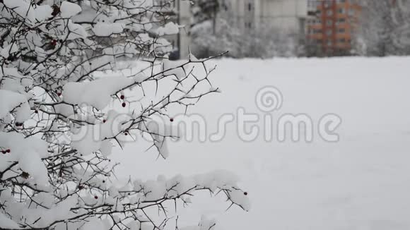俄罗斯莫斯科冬季城市景观视频的预览图