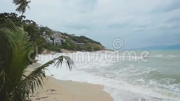 热带海滩在风暴中棕榈树在波涛汹涌的大海前缓慢移动1920x1080视频的预览图
