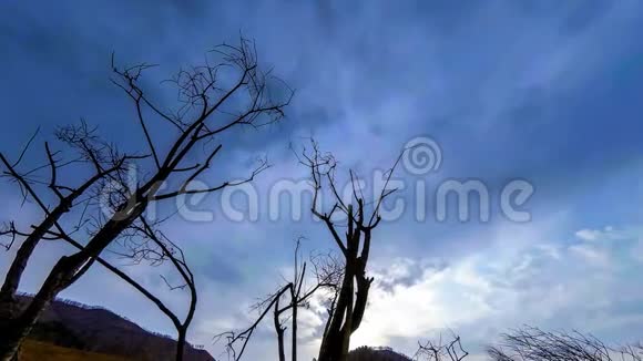 死亡树和枯黄的草在云和太阳光线的蒙天景观的时间流逝水平滑块运动视频的预览图