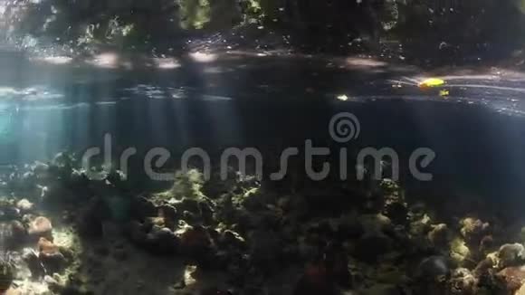水下阳光的光束视频的预览图