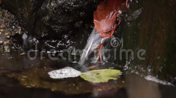 清澈的水流干净的水清水视频的预览图